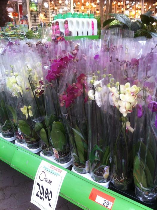 Name:  08-008.jpg
Views: 648
Size:  68.8 KB