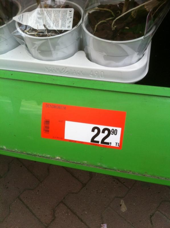 Name:  06-006.jpg
Views: 647
Size:  47.3 KB
