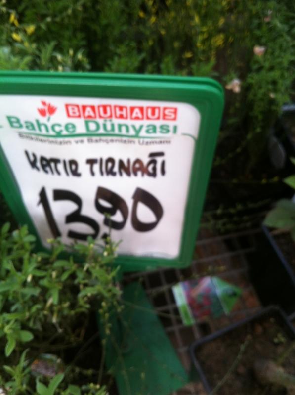 Name:  32-032.jpg
Views: 1426
Size:  47.9 KB