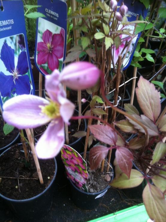 Name:  12-012.jpg
Views: 1403
Size:  66.7 KB