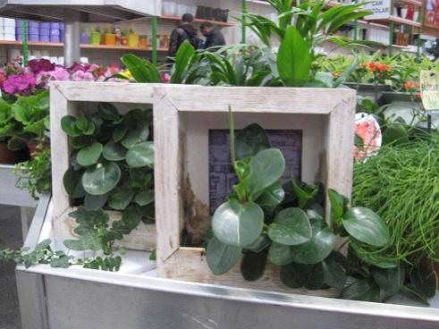 Name:  009.jpg
Views: 9985
Size:  36.8 KB