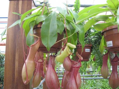 Name:  019.jpg
Views: 10005
Size:  35.3 KB
