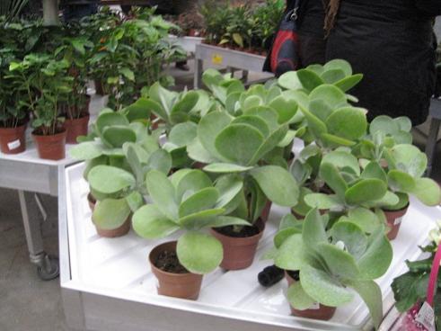 Name:  013.jpg
Views: 9825
Size:  31.5 KB