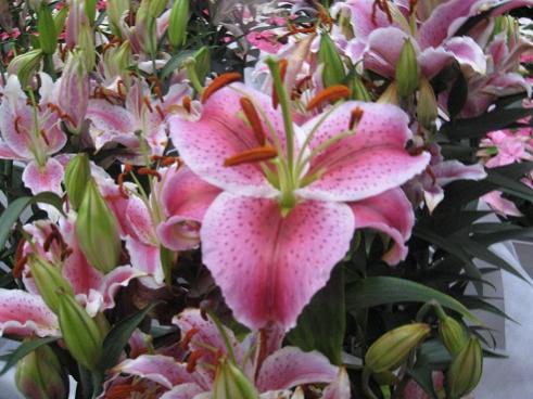 Name:  004.jpg
Views: 9747
Size:  38.3 KB