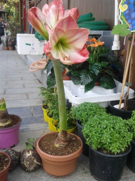 Name:  001.jpg
Views: 9888
Size:  74.1 KB