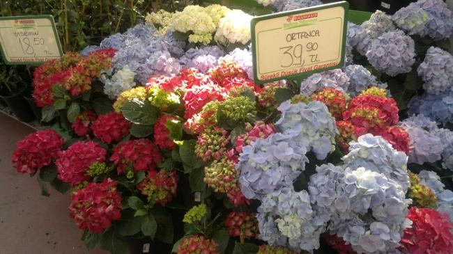 Name:  8-2015-04-07-963.jpg
Views: 820
Size:  52.7 KB
