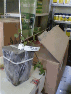 Name:  a1.gif
Views: 2577
Size:  42.1 KB