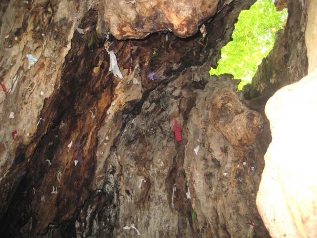 Name:  ANTAKYA2011 215.jpg
Views: 30997
Size:  60.8 KB