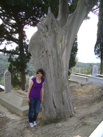 Name:  DSC00400.JPG
Views: 790
Size:  62.6 KB