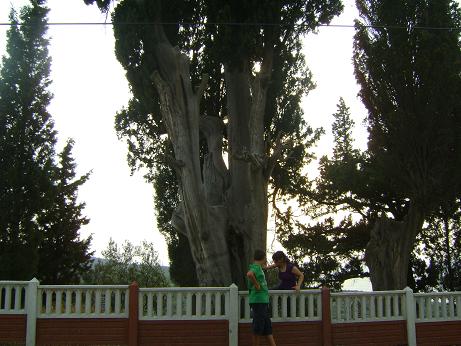 Name:  DSC00401.JPG
Views: 837
Size:  62.9 KB