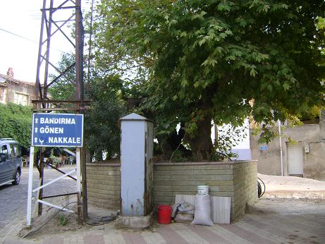 Name:  DSC00394.JPG
Views: 900
Size:  65.1 KB