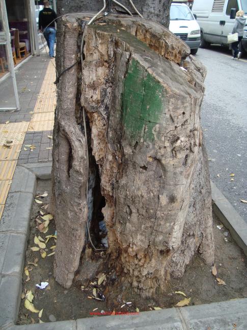 Name:  Ant Aa Restarasyonu 01.jpg
Views: 1314
Size:  71.8 KB