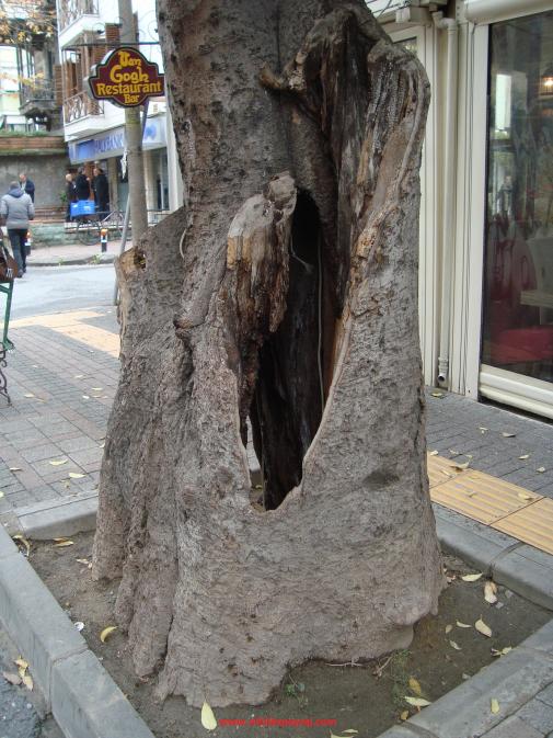 Name:  Ant Aa Restarasyonu 03.jpg
Views: 1457
Size:  72.0 KB