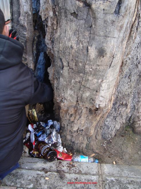 Name:  Ant Aa Restorasyonu 07.jpg
Views: 1117
Size:  72.8 KB