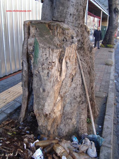 Name:  Ant Aa Restorasyonu 14.jpg
Views: 1244
Size:  72.4 KB