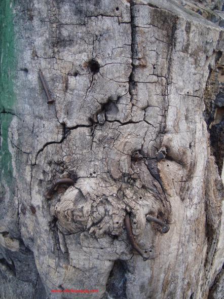 Name:  Ant Aa Restorasyonu 014.jpg
Views: 1596
Size:  70.5 KB