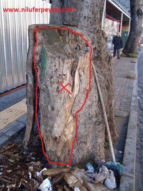 Name:  Ant Aa Restorasyonu 14 a.jpg
Views: 2036
Size:  71.8 KB