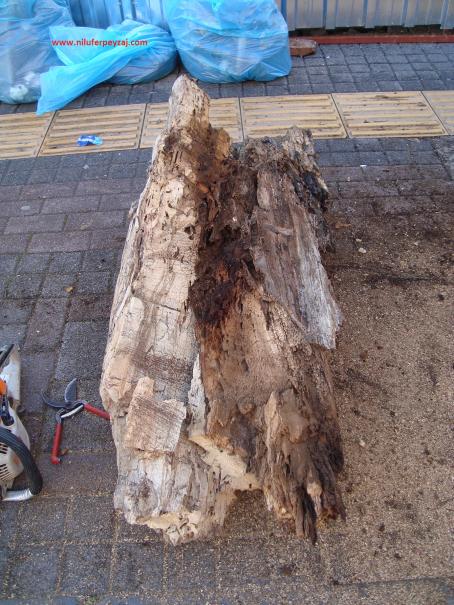Name:  Ant Aa Restorasyonu 14 d.jpg
Views: 1157
Size:  69.6 KB