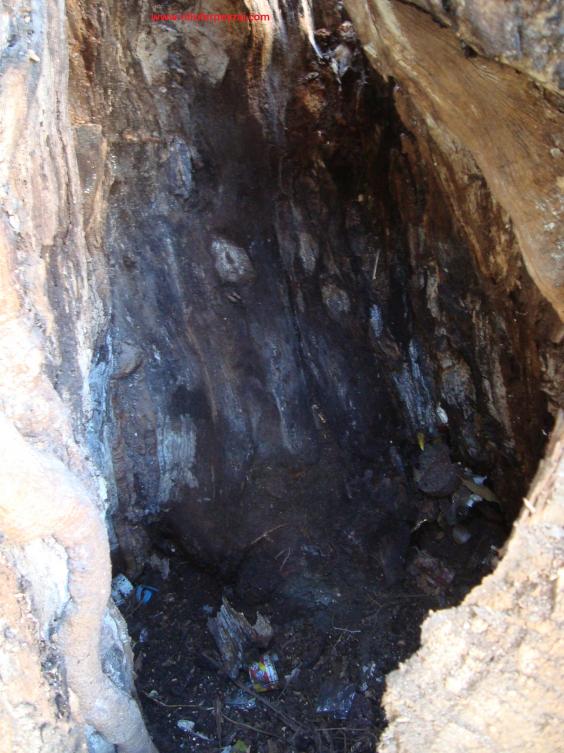 Name:  Ant Aa Restorasyonu 14 e.jpg
Views: 1390
Size:  73.0 KB
