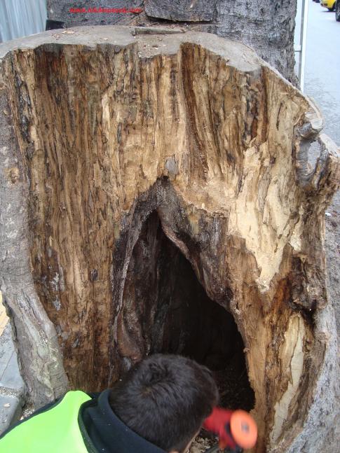 Name:  Ant Aa Restorasyonu 14 e 6.jpg
Views: 1190
Size:  72.0 KB