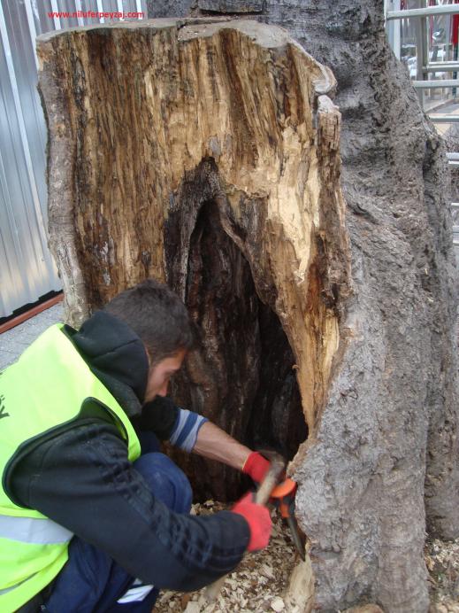 Name:  Ant Aa Restorasyonu 14 e 7.jpg
Views: 1326
Size:  74.3 KB