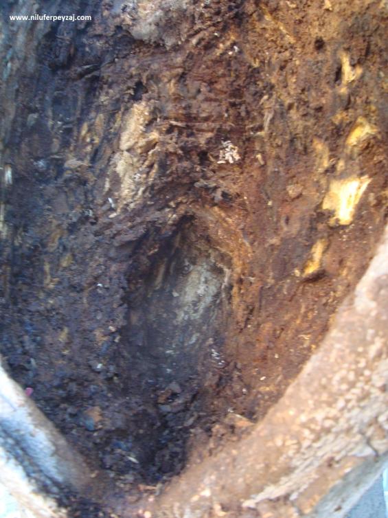 Name:  Ant Aa Restorasyonu e 3.jpg
Views: 1186
Size:  74.1 KB