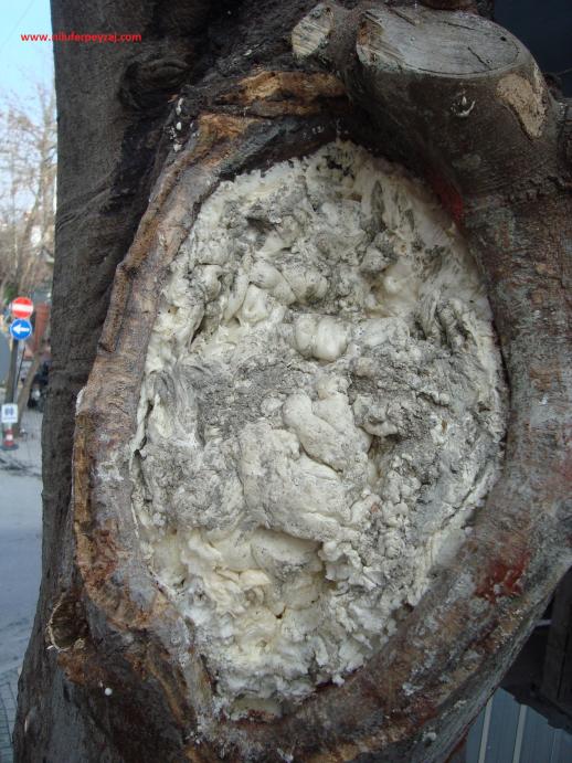 Name:  Ant Aa Restorasyonu e 5.jpg
Views: 1190
Size:  73.0 KB