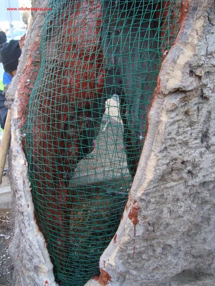 Name:  Ant Aa Restorasyonu 14 h 6.jpg
Views: 1499
Size:  72.6 KB