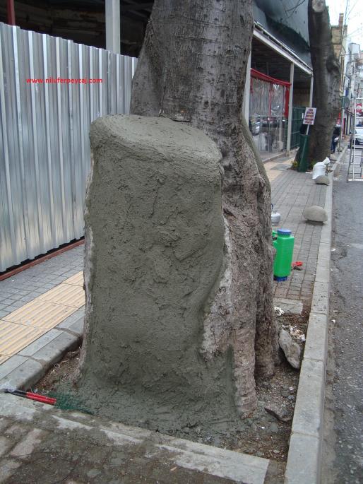 Name:  Ant Aa Restorasyonu 14 h 12.jpg
Views: 1119
Size:  70.6 KB