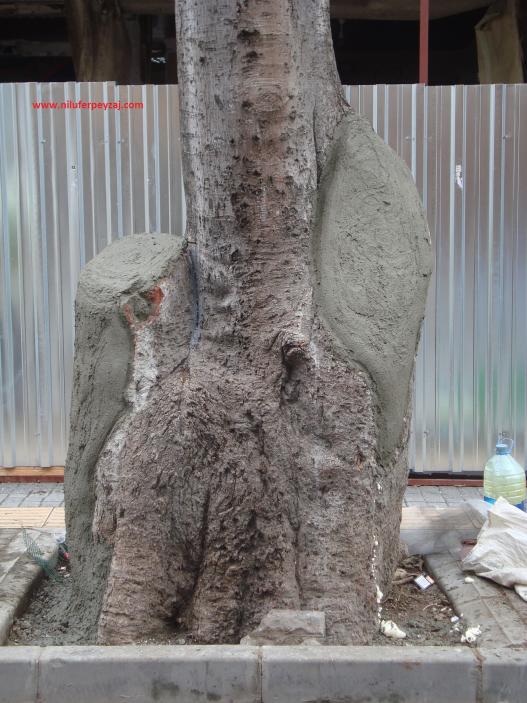 Name:  Ant Aa Restorasyonu 14 h 12 b.jpg
Views: 1065
Size:  71.0 KB