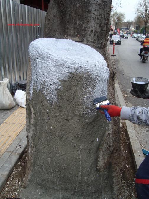 Name:  Ant Aa Restorasyonu 14 h 12 c.jpg
Views: 1113
Size:  70.8 KB