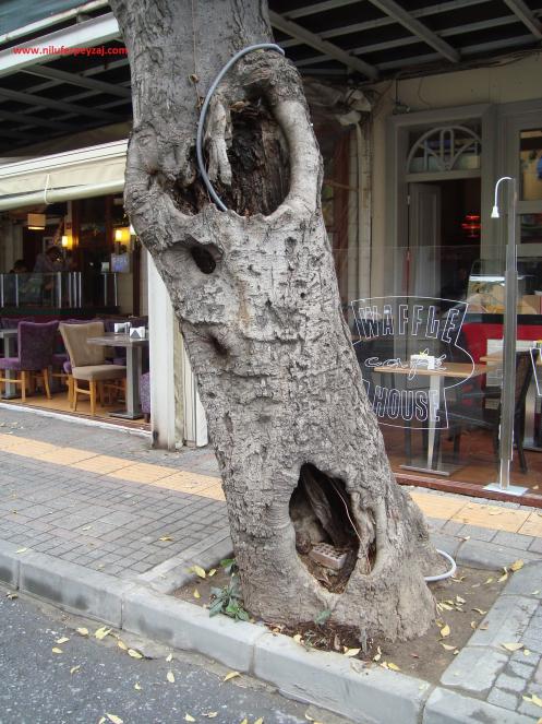 Name:  Ant Aa Restorasyonu 15.jpg
Views: 1050
Size:  73.3 KB