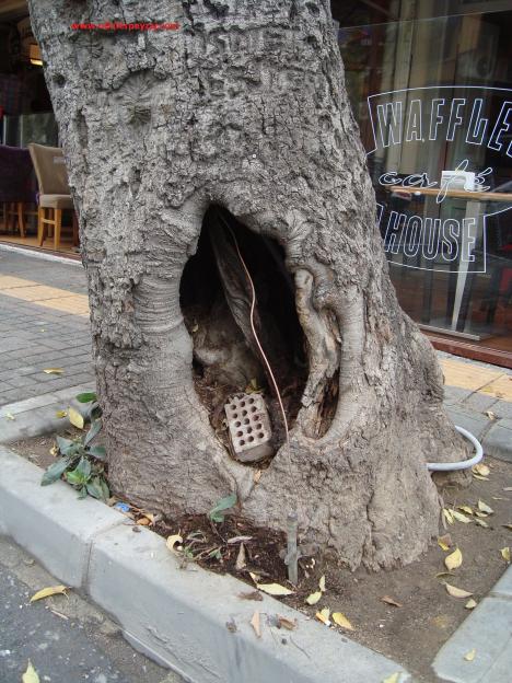 Name:  Ant Aa Restorasyonu 18.jpg
Views: 1062
Size:  71.6 KB