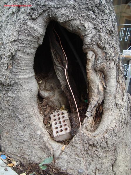 Name:  Ant Aa Restorasyonu 19.jpg
Views: 982
Size:  72.1 KB
