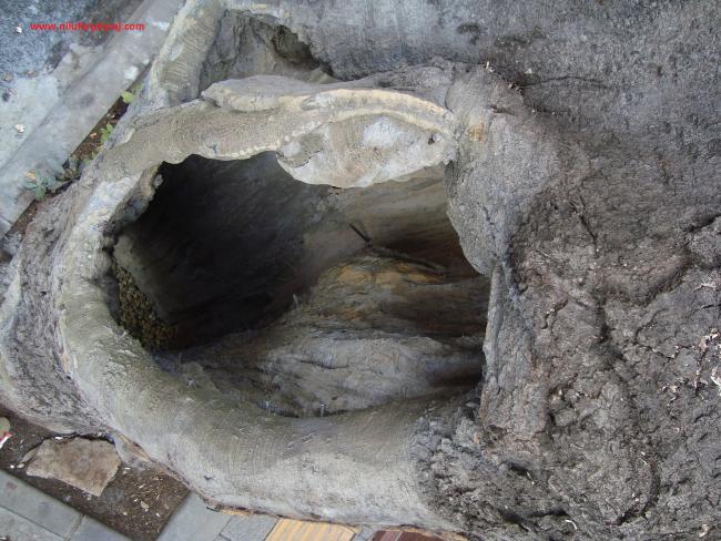 Name:  Ant Aa Restorasyonu 23.jpg
Views: 1058
Size:  68.2 KB