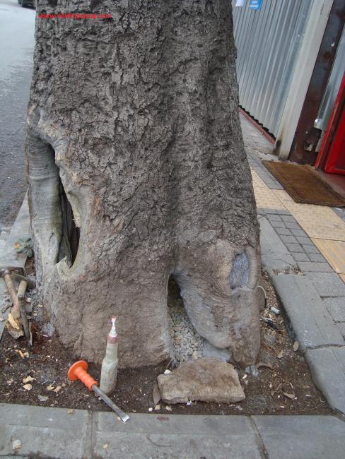 Name:  Ant Aa Restorasyonu 25.jpg
Views: 1098
Size:  70.7 KB
