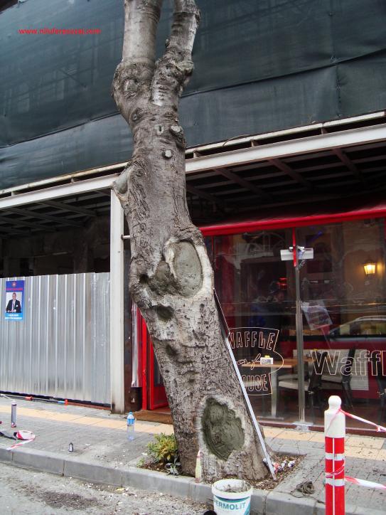 Name:  Ant Aa Restorasyonu 28.jpg
Views: 716
Size:  72.5 KB