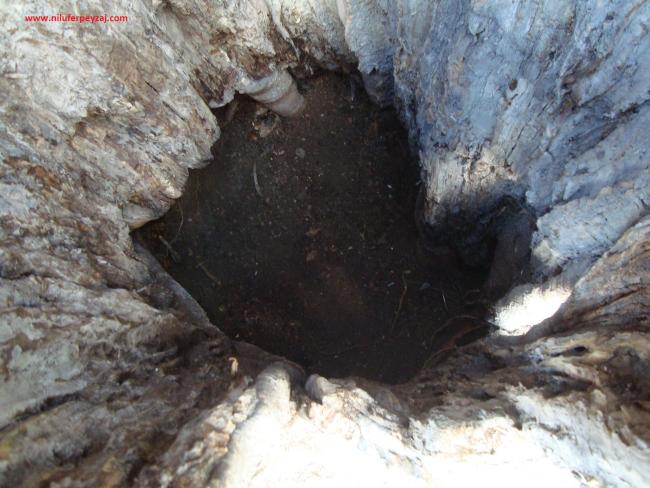 Name:  Ant Aa Restorasyonu 42.jpg
Views: 658
Size:  55.5 KB