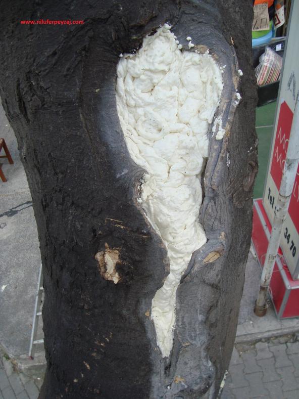 Name:  Ant Aa Restorasyonu 47.jpg
Views: 630
Size:  70.7 KB