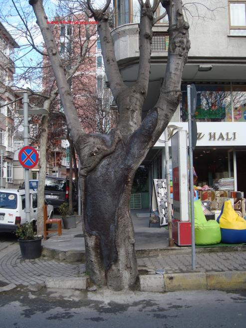 Name:  Ant Aa Restorasyonu 49.jpg
Views: 613
Size:  73.5 KB