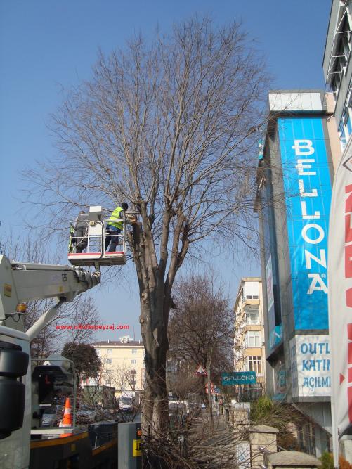 Name:  Ant Aa Restorasyonu 61.jpg
Views: 617
Size:  71.7 KB