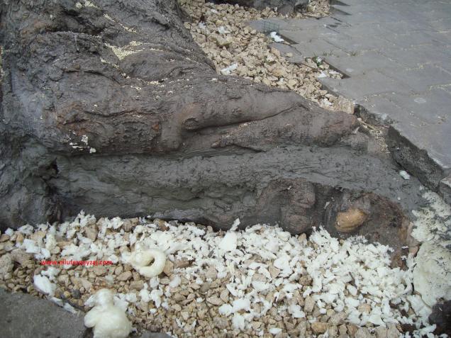 Name:  Ant Aa Restorasyonu 69.jpg
Views: 576
Size:  70.4 KB