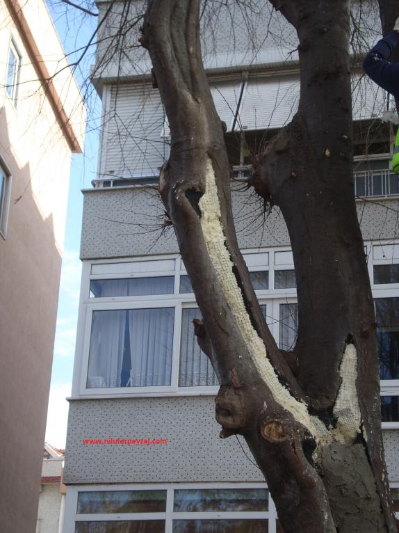 Name:  Ant Aa Restorasyonu 73.jpg
Views: 561
Size:  71.6 KB