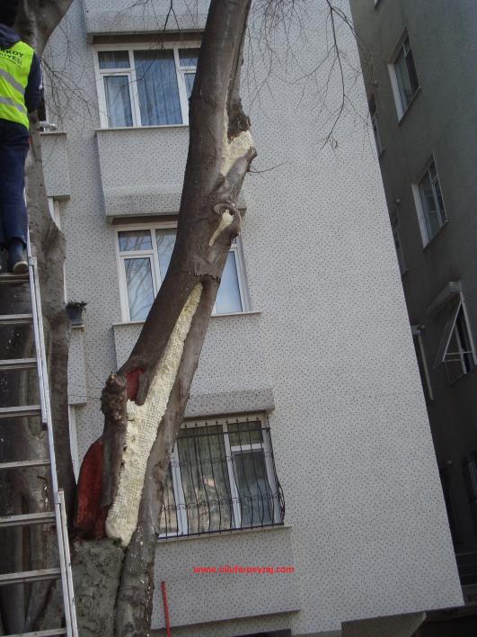 Name:  Ant Aa Restorasyonu 74.jpg
Views: 584
Size:  69.5 KB