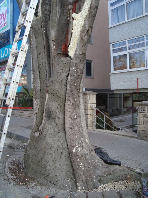 Name:  Ant Aa Restorasyonu 78.jpg
Views: 537
Size:  71.8 KB