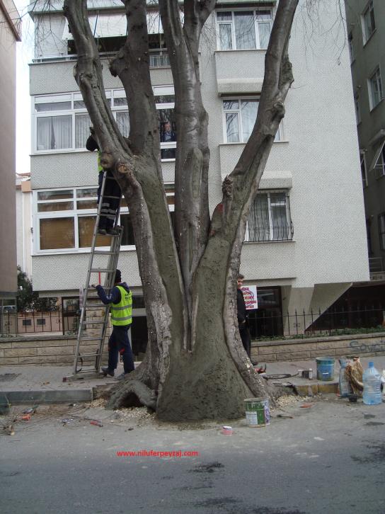 Name:  Ant Aa Restorasyonu 79.jpg
Views: 563
Size:  70.1 KB
