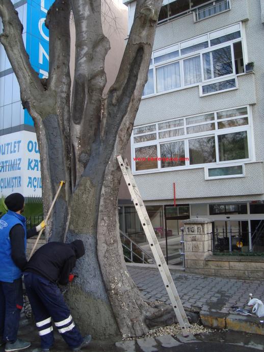 Name:  Ant Aa Restorasyonu 83.jpg
Views: 1009
Size:  72.6 KB