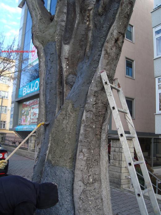 Name:  Ant Aa Restorasyonu 84.jpg
Views: 1007
Size:  71.4 KB