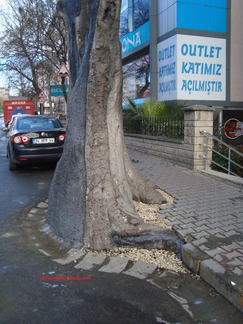 Name:  Ant Aa Restorasyonu 85.jpg
Views: 961
Size:  72.0 KB