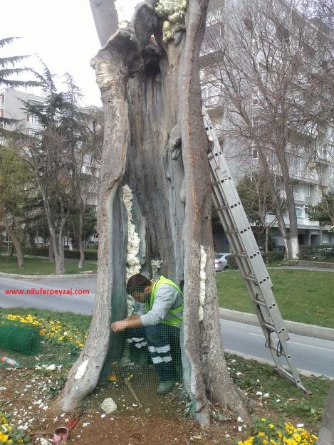 Name:  Ant Aa Restorasyonu 102.jpg
Views: 1209
Size:  72.8 KB